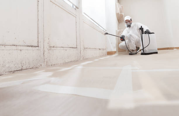 24/7 Emergency Commercial Mold Remediation experts in Dallas, NC